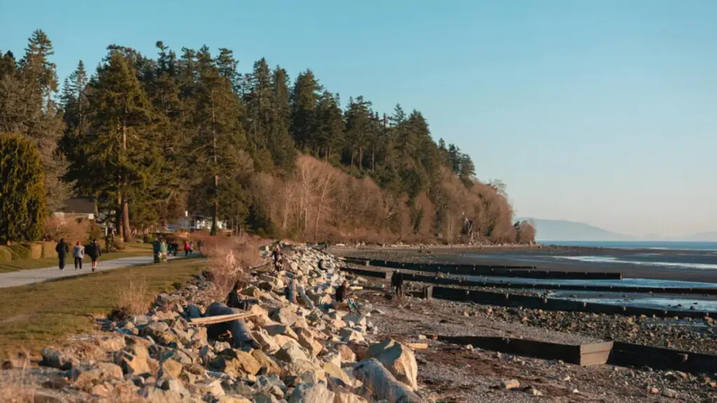 Take a peaceful stroll along the scenic waterfront at Crescent Beach, where ocean views, gentle breezes, and tree-lined paths create the perfect setting for a relaxing afternoon walk.