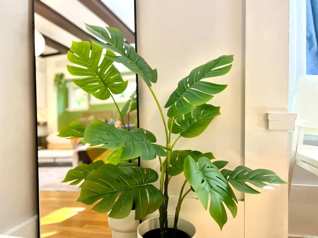 Lush greenery adds a fresh, modern touch to the suite, bringing a sense of calm and connection to nature throughout your Vancouver stay.