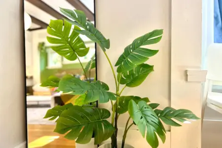Lush greenery adds a fresh, modern touch to the suite, bringing a sense of calm and connection to nature throughout your Vancouver stay.
