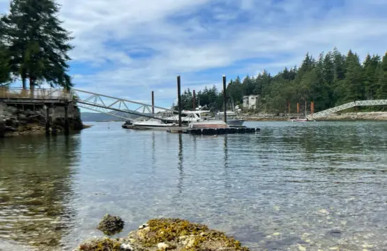 Tranquil waterfront scene with a scenic dock, boats, and clear waters, providing a serene spot to connect with nature.