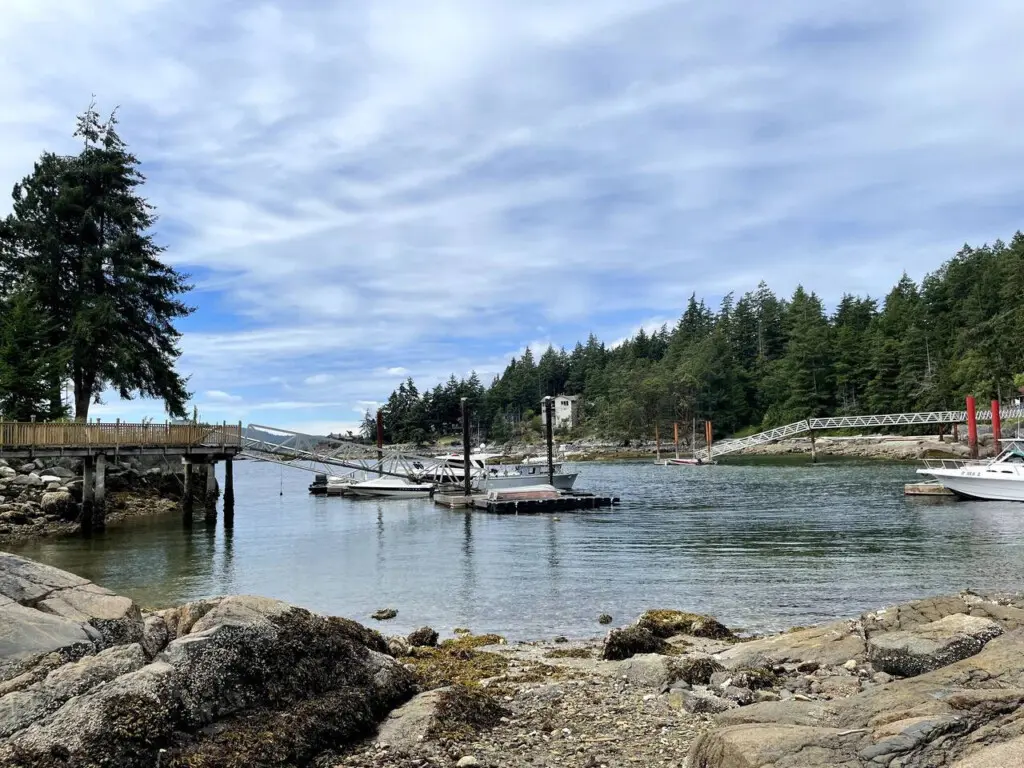 Scenic waterfront view featuring a tranquil dock, boats, and lush forest surroundings, offering a serene escape by the water.