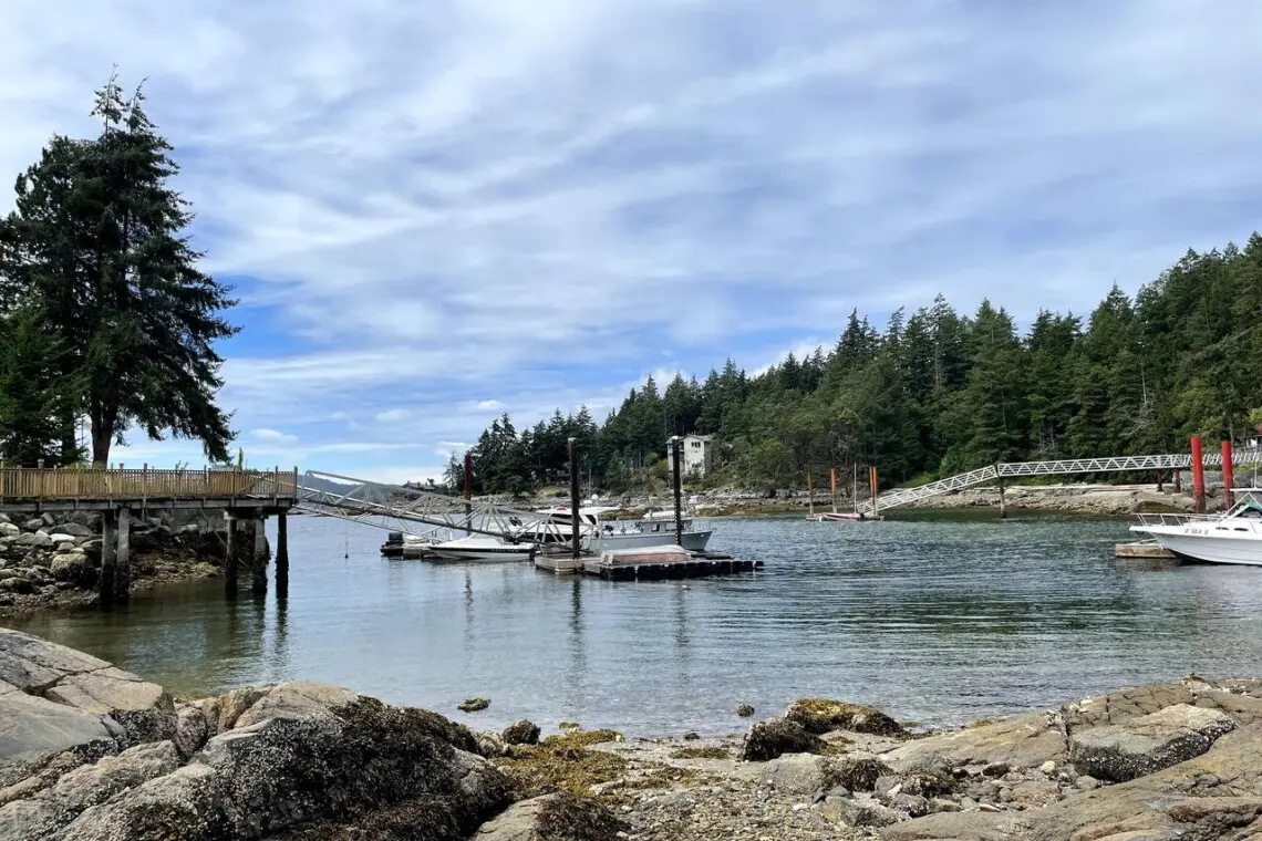 Scenic waterfront view featuring a tranquil dock, boats, and lush forest surroundings, offering a serene escape by the water.