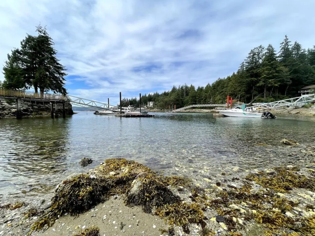 Peaceful shoreline with clear waters, a scenic dock, and boats, offering a perfect spot to enjoy nature and tranquility.