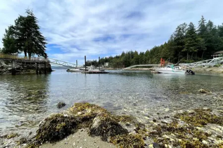 Peaceful shoreline with clear waters, a scenic dock, and boats, offering a perfect spot to enjoy nature and tranquility.